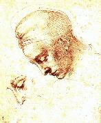 Michelangelo Buonarroti Study of a Head oil on canvas